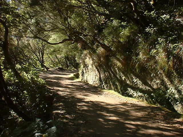 Madeira: Rabaçal Valleys 3-Hour Guided Walk - Comparing Similar Tours and Additional Options