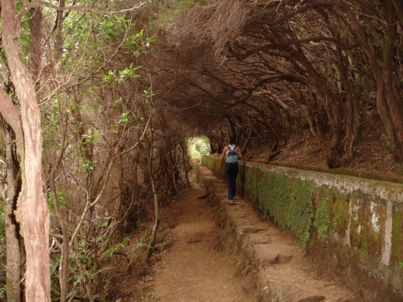 Madeira: Rabaçal Valleys 3-Hour Guided Walk - Final Thoughts on the Rabaçal Valleys Guided Walk