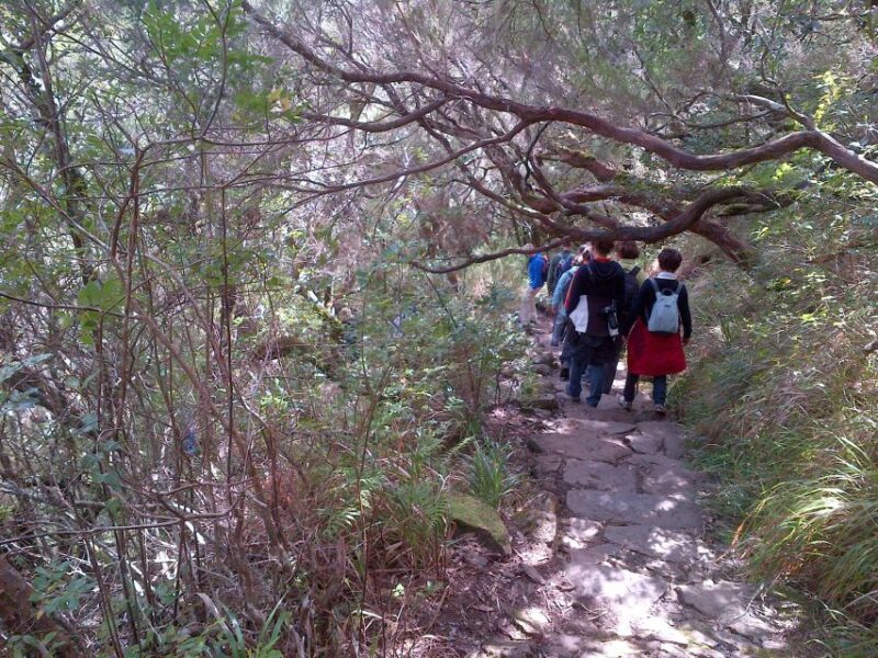 Madeira: Rabaçal Valleys 3-Hour Guided Walk - Frequently Asked Questions