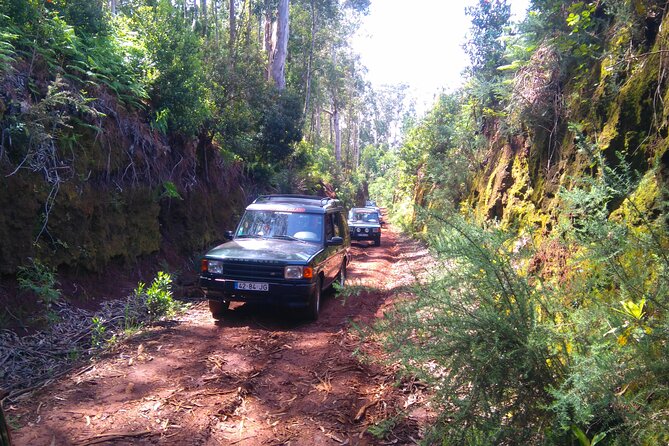 Madeira Safari - East of the island - Madeiras East Coast in a 4x4 Adventure