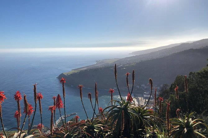 Madeira Safari - East of the island - Logistics, Group Size, and Booking