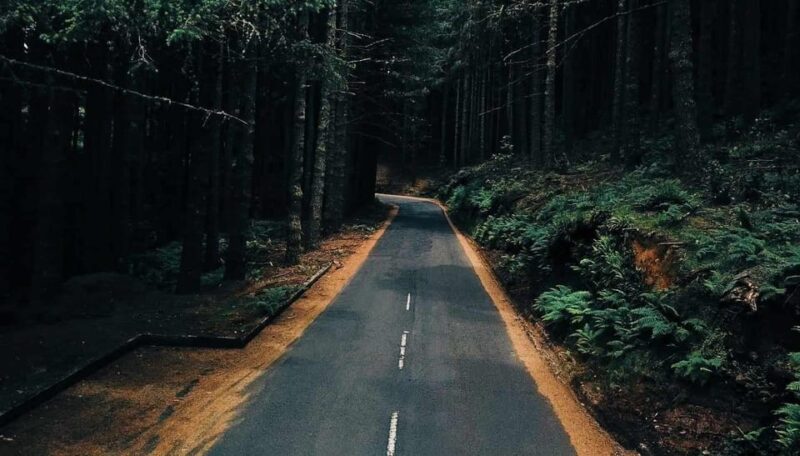 Madeira: Santana; Discover the enchanting East: Duration 7,5h - Exploring Madeira’s East Coast with a 4x4 Jeep Tour