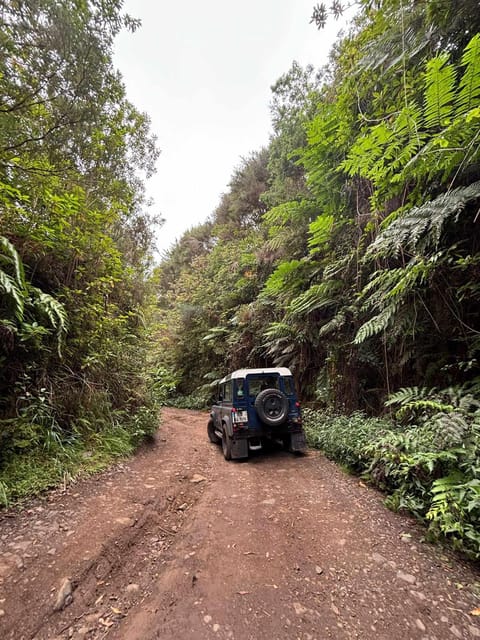 Madeira: Santana; Discover the enchanting East: Duration 7,5h - Discovering Ribeiro Frio and Its Tranquil Forests
