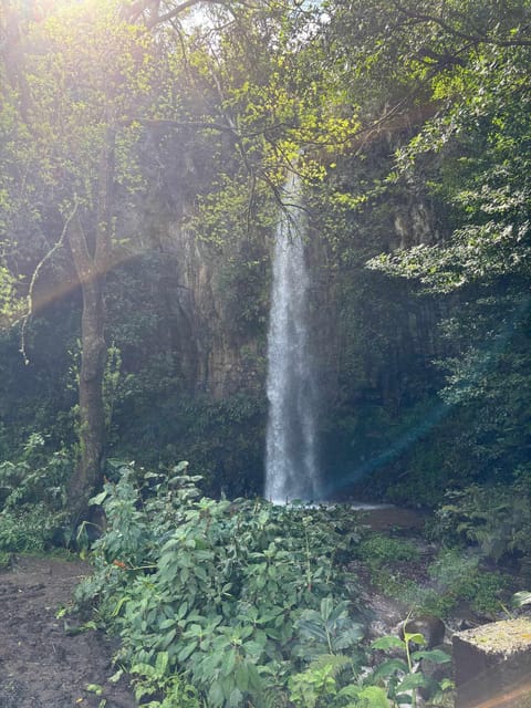 Madeira: Santana; Discover the enchanting East: Duration 7,5h - Ponta de São Lourenço’s Volcanic Cliffs and Ocean Views