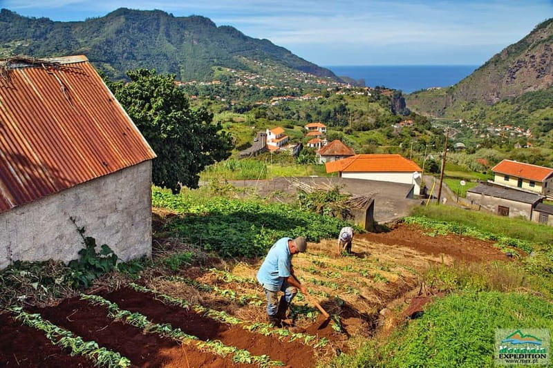 Madeira: Santana Jeep Safari and Balções Levada Walk - Santana’s Iconic Thatched Houses