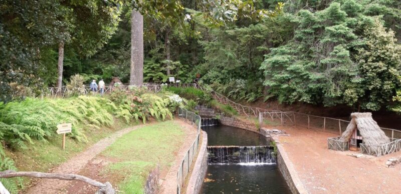 Madeira: Santana Traditional Houses Private Half-Day Tour - The Experience of Visiting Old Houses in Santana