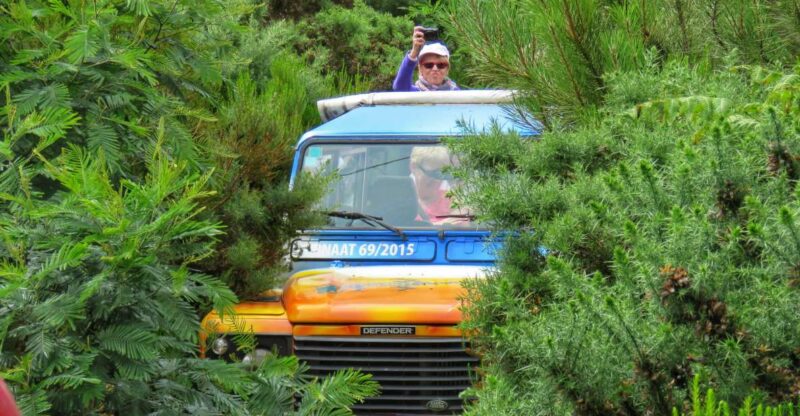 Madeira : Santo de Serra Local Farmers' Market half day trip - Key Points