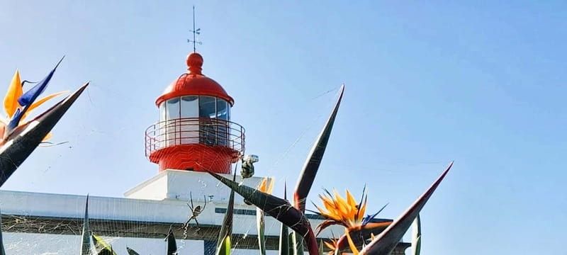 Madeira: South Madeira Private 4x4 Tour with Pickup - Key Points