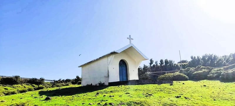 Madeira: South Madeira Private 4x4 Tour with Pickup - A Visit to Ponta do Pargo’s Lighthouse