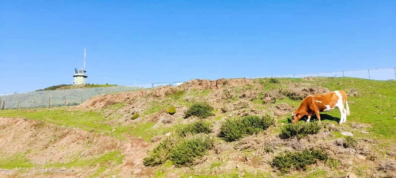 Madeira: South Madeira Private 4x4 Tour with Pickup - Lunch and Leisure Time at Paul do Mar