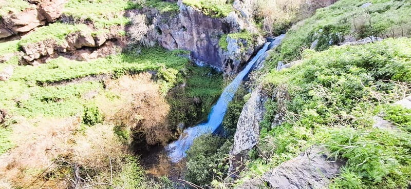 Madeira: South Madeira Private 4x4 Tour with Pickup - Visit to Calheta’s Sugar Cane Mill and Rum Production