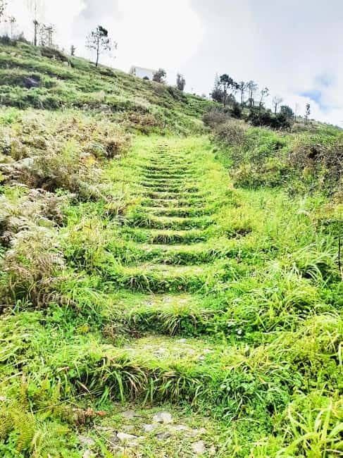 Madeira: South Madeira Private 4x4 Tour with Pickup - Practical Details and Booking Flexibility
