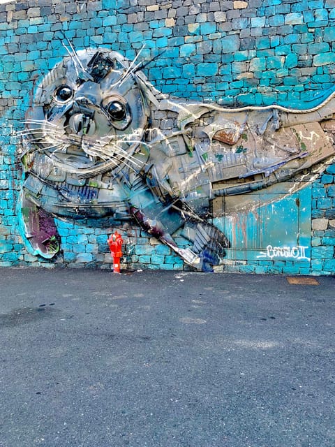 Madeira South Tour: Cabo Girão, Waterfalls for Cruise Ship - Madeira South Tour: A Bright and Scenic Snapshot