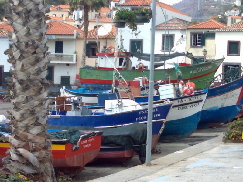 Madeira South West: Half Day Private Tour - Calheta: A Valley Village with a Modern Touch