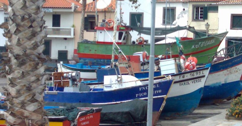 Madeira South West: Half Day Private Tour - Practicalities and Additional Details