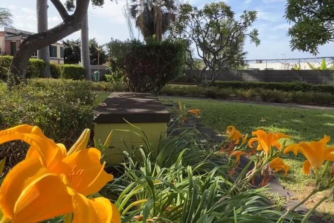 Madeira Special Private Tuk-Tuk City Tour Experience by MadTuk - panoramic View from Miradouro do Pinaculo