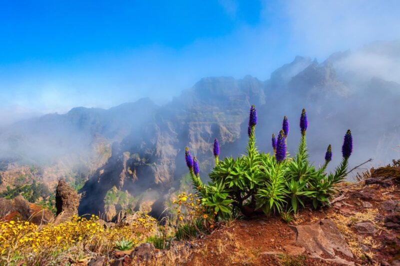 Madeira Stairway to Heaven to Larano Hike Mountain to Sea - Key Points