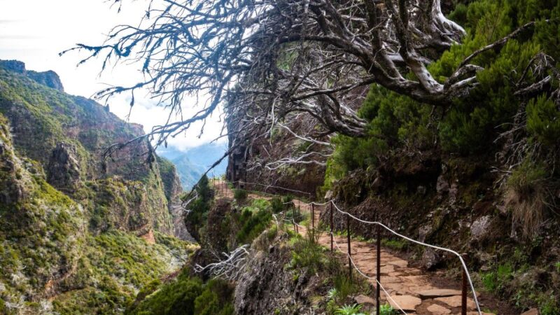 Madeira Stairway to Heaven to Larano Hike Mountain to Sea - The Vereda do Larano Along the Northeast Coast