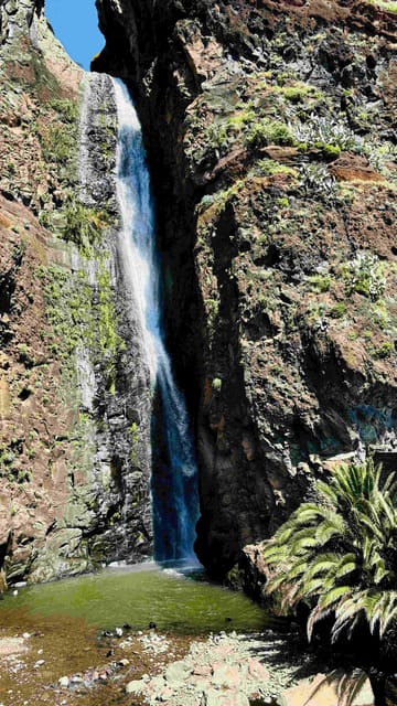 Madeira: Sunny South Side - Cabo Girão, Waterfalls, C. Lobos - Why This Tour Offers Great Value for Madeira Visitors