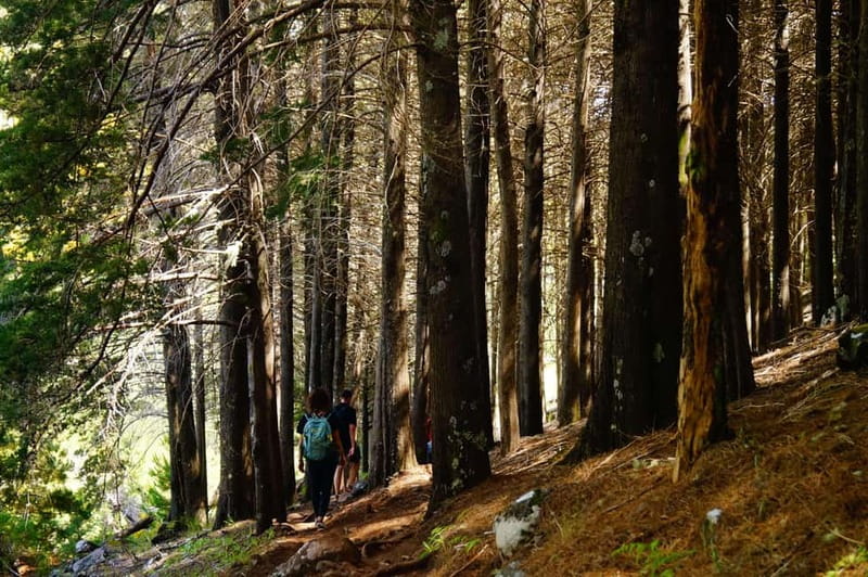 Madeira : Sunrise at Pico do Arieiro + 2 Hikes - PR1 and PR3 - Key Points