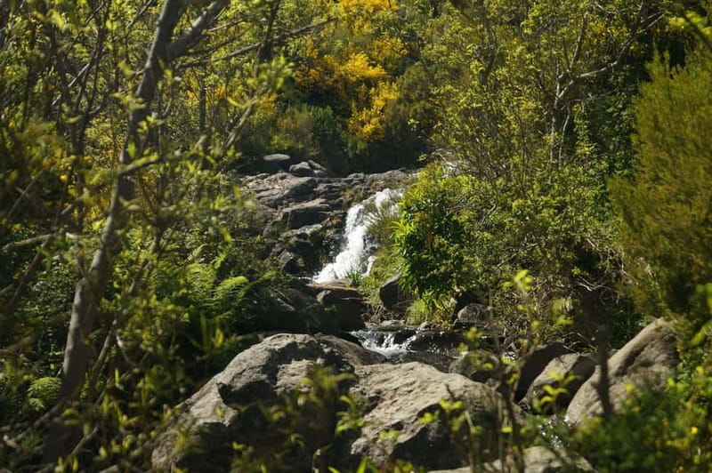 Madeira : Sunrise at Pico do Arieiro + 2 Hikes - PR1 and PR3 - The PR3 Trail: Waterfalls, Donkeys, and Scenic Vistas