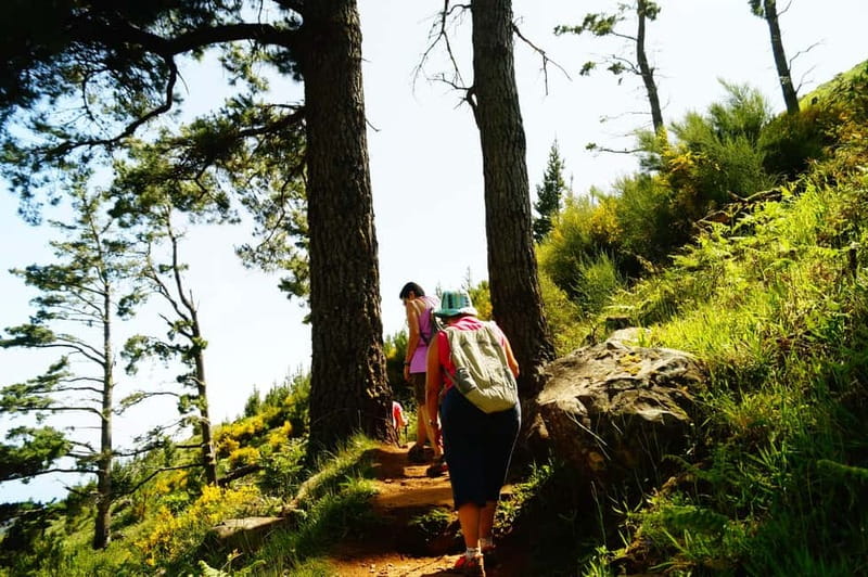 Madeira : Sunrise at Pico do Arieiro + 2 Hikes - PR1 and PR3 - Relaxing at the Nearby Coffee Shop After the Hikes