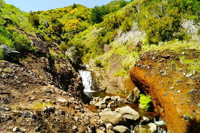 Madeira : Sunrise at Pico do Arieiro + 2 Hikes - PR1 and PR3 - Guide Style and Tour Atmosphere