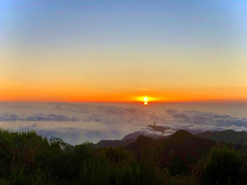 Madeira: Sunrise at Pico do Arieiro & Hike Larano trail - Coastal Hike Along the Larano Trail