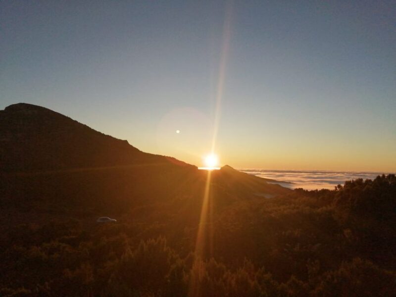 Madeira: Sunrise Half-Day Jeep Tour - What Makes This Tour Stand Out Compared to Others
