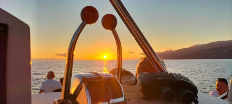 Madeira: Sunset Dinner Cruise - Funchals Lights and Nighttime Views