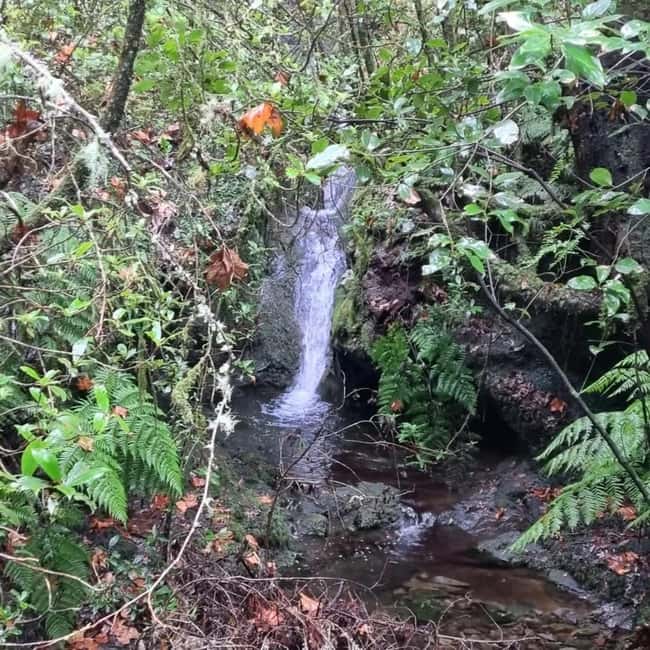 Madeira: Surreal East Experience - Key Points