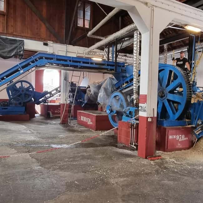 Madeira: Surreal East Experience - Exploring Pico do Arieiro and Ribeiro Frio