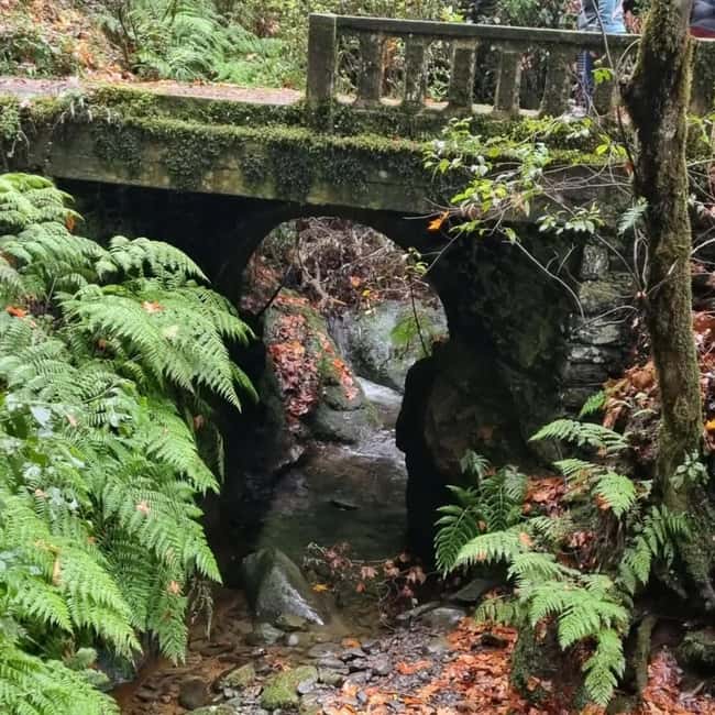 Madeira: Surreal East Experience - The Glass Skywalk and Scenic Views