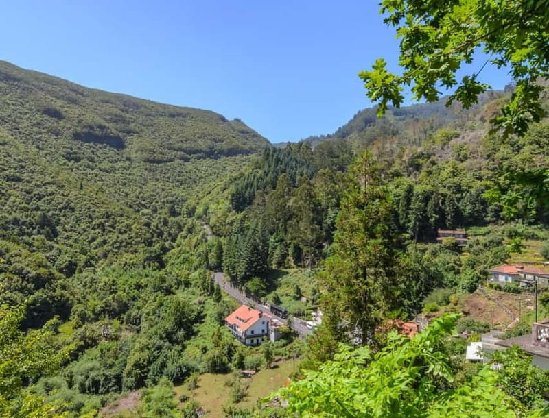 MADEIRA TOUR- SANTANA EAST TOUR STRAW THATCHED ROOFED HOUSES - Discovering Santana’s Traditional Straw-Roofed Houses
