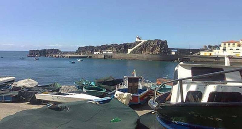 Madeira: Vineyard Tour w/ Wine Tasting & Skywalk - Madeira: Vineyard Tour w/ Wine Tasting & Skywalk – An In-Depth Look