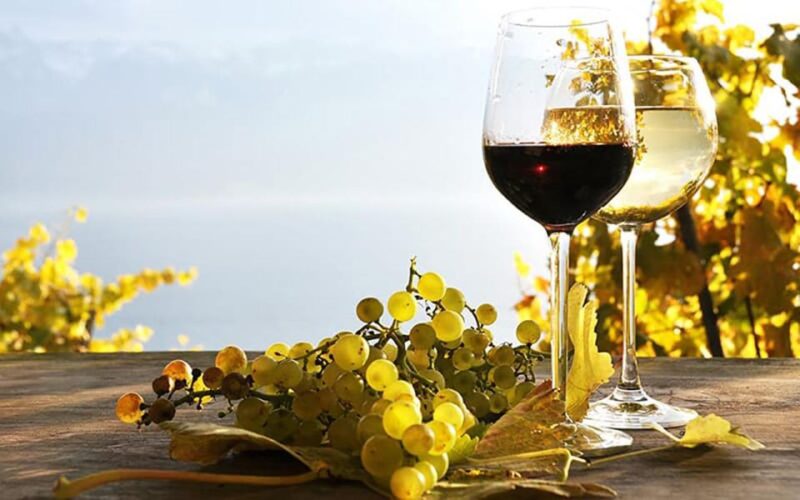 Madeira: Vineyard Tour w/ Wine Tasting & Skywalk - The Iconic Skywalk at Cabo Girao