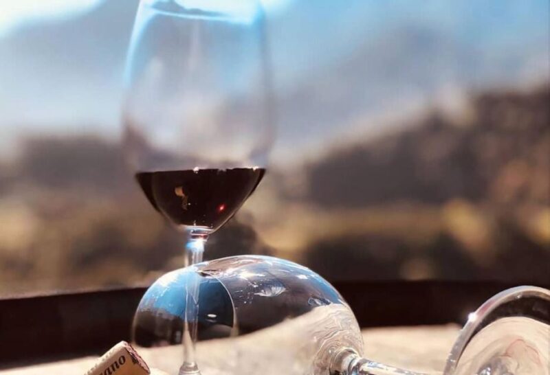 Madeira: Vineyard Tour w/ Wine Tasting & Skywalk - Practical Details and Logistics