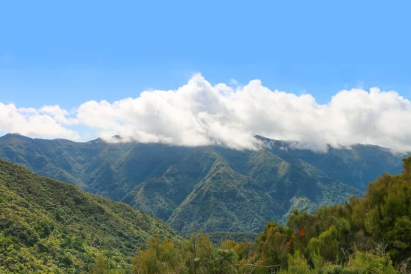 Madeira: Walk in Fanal and Seixal Beach Guided Tour - The Scenic Journey: From Funchal to Fanal Forest