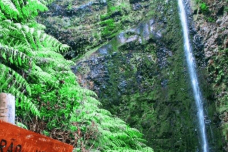 Madeira: Walking Tour - Queimadas / Caldeirão Verde - Starting Point: The Village of Santana and Queimadas