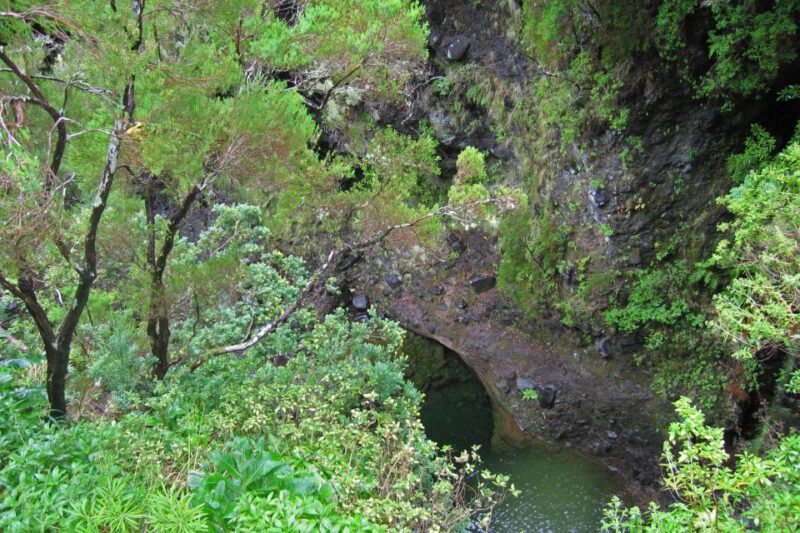 Madeira Walks - Rabaçal and the 25 Fountains - Comparing This Tour to Other Madeira Walks