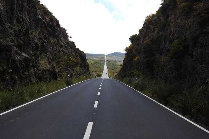 Madeira West 4x4 Jeep Safari: Wild Coast, Lava Pools & Fanal - Fanal Forest: A Trek into Madeira’s Iconic Wilderness