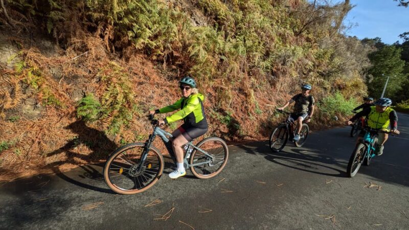 Madeira West coast: Guided Sightseeing E-Bike Tour - Accessibility and Suitability