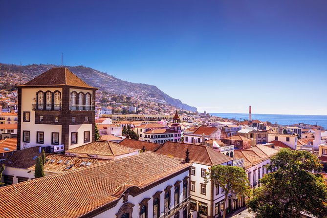 Madeira West Island Full Day Small-Group Tour from Funchal - Discovering São Vicente’s Coastal Charm