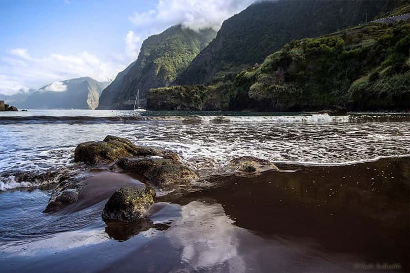 Madeira West Island Full-Day Tour with Fanal Forest - Scenic Drive Through Ponta do Sol and Ribeira Brava