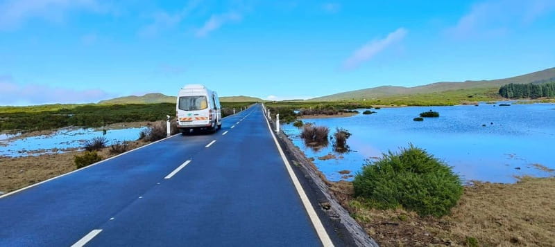 Madeira West Island Full-Day Tour with Fanal Forest - Exploring the Laurissilva Forest and Fanal’s Mystic Trees