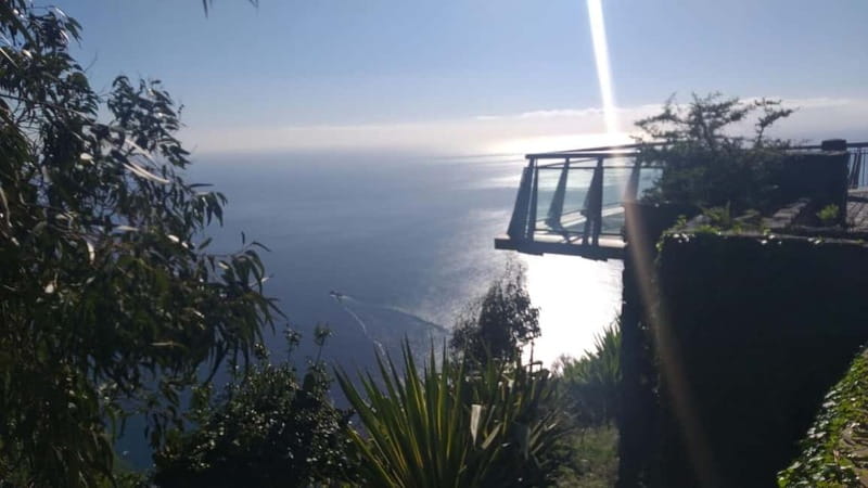 Madeira West Island Full-Day Tour with Fanal Forest - Who Should Consider This Tour?