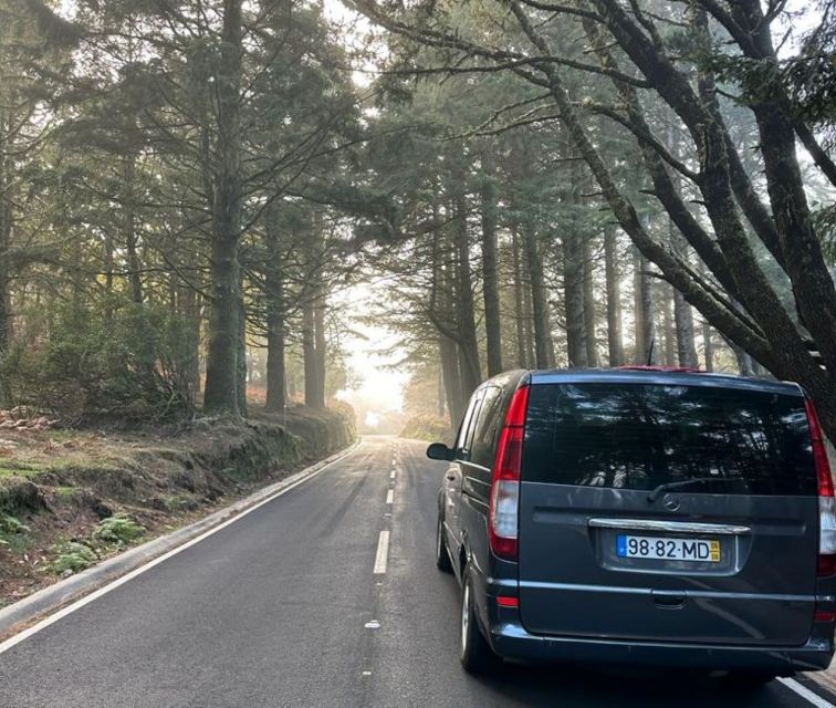 Madeira: Western Madeira Guided Trip & Fanal Mystic Forest - The Main Attraction: Porto Moniz’s Volcanic Pools