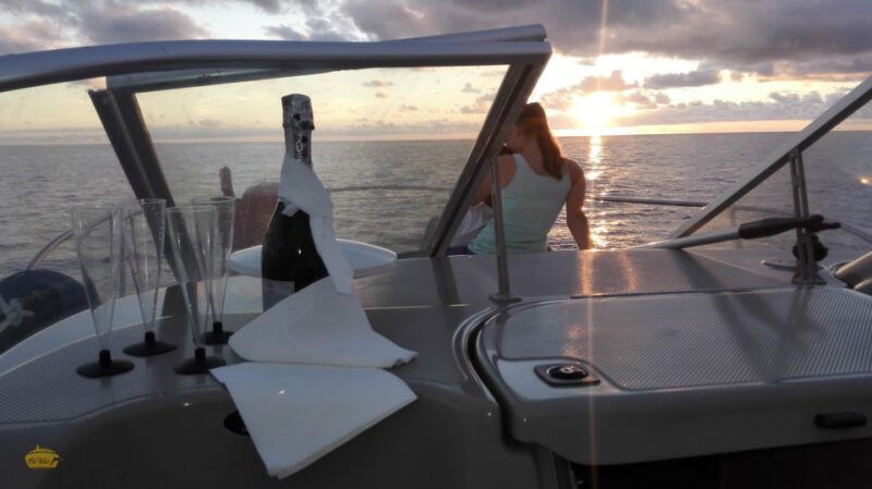 Madeira: Whale and Dolphin Watching Private Cruise - The Unique Experience of Watching Marine Life in Madeira