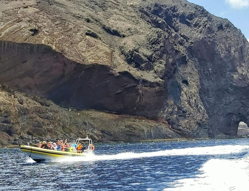 Madeira: Whale and Dolphin Watching Tour - Learning from Marine Biologists on Board