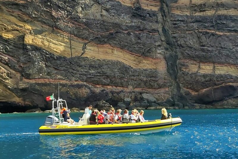 Madeira: Whale and Dolphin Watching Tour - Snorkeling and Swimming in Summer